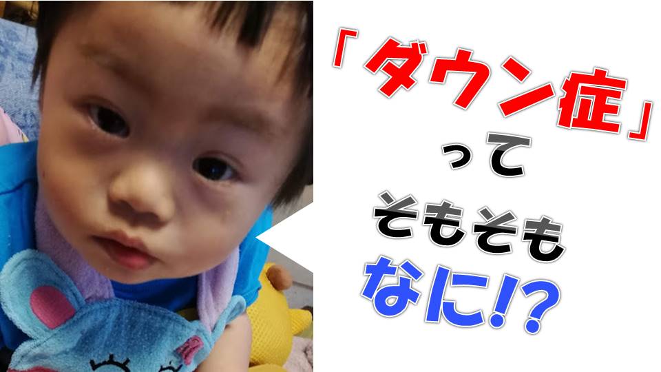 ダウン症とは 改めて 簡単にまとめてみた 息子は僕のヒーロー